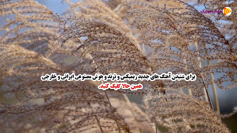 دانلود آهنگ هی خانم یواش یواش با ما اینجوری نباش - 